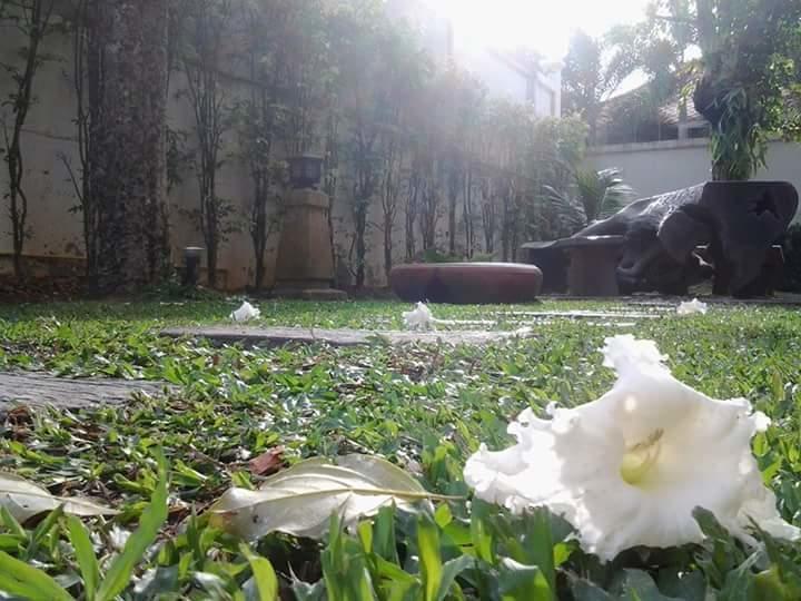 Green House Phuket Pa Khlok Exterior photo